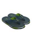 JQR Flip Flop 4.1