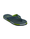 JQR Flip Flop 4.1